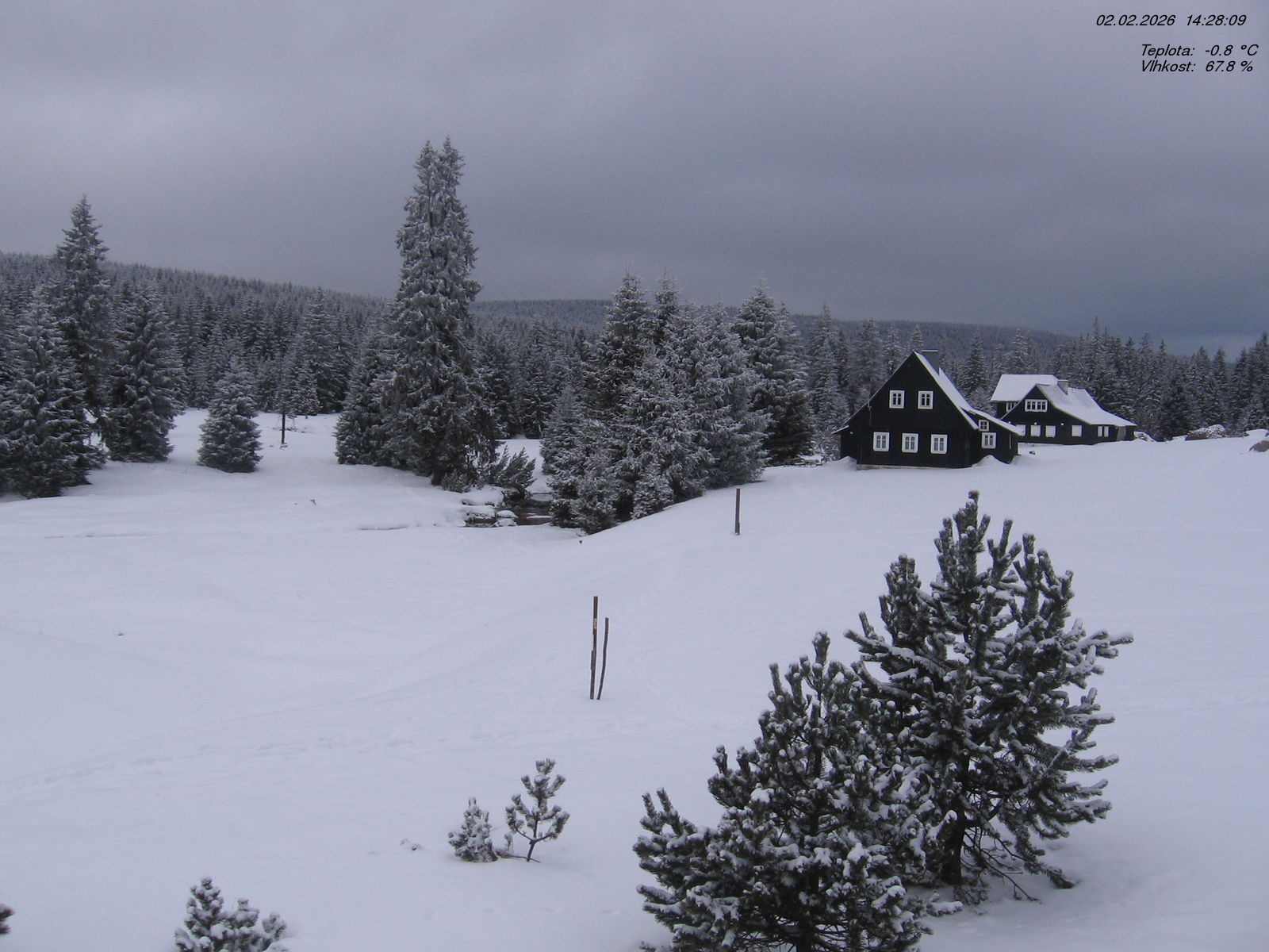 Kamera na żywo - Izerka