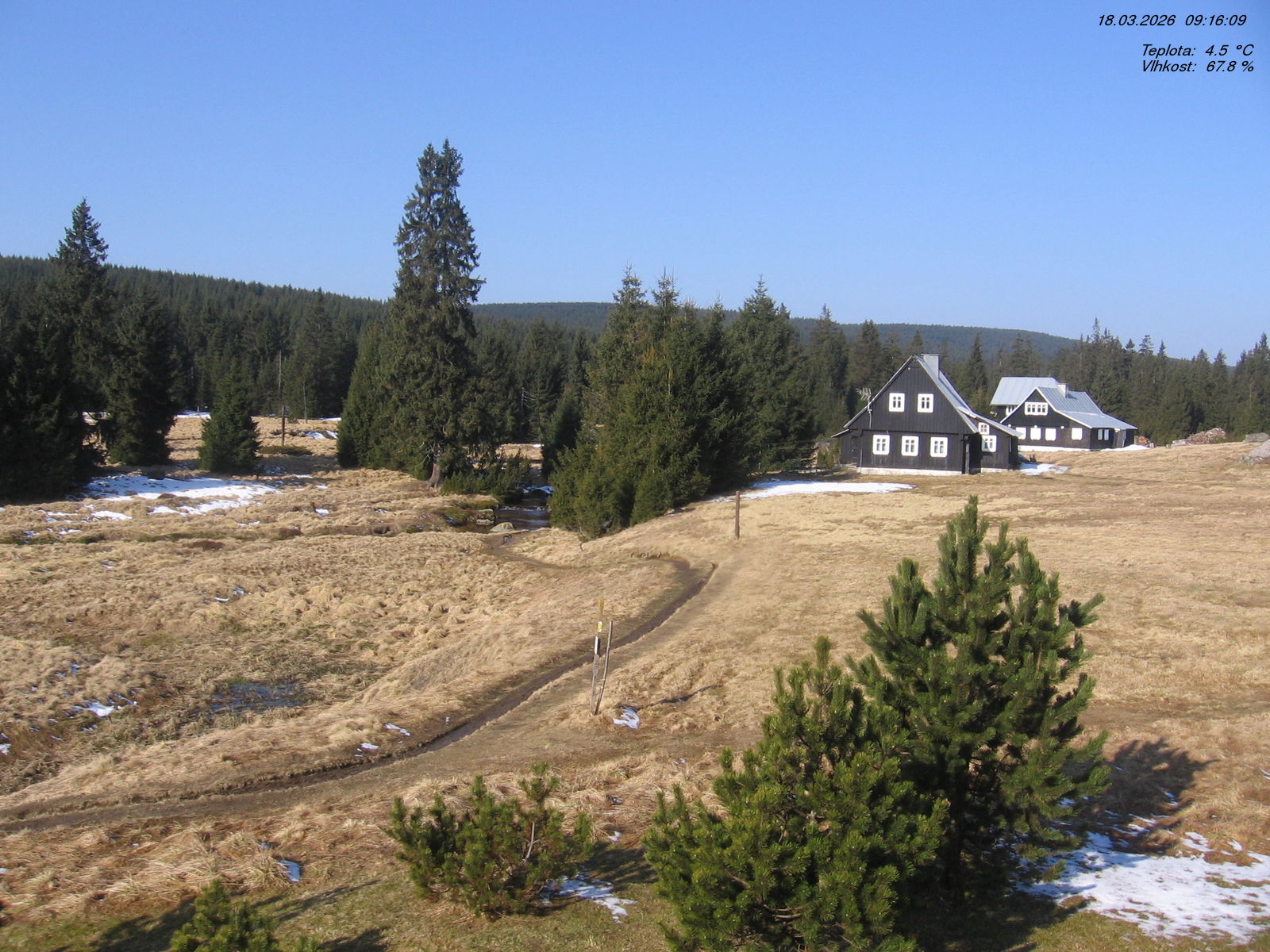 Kamera na żywo - Izerka