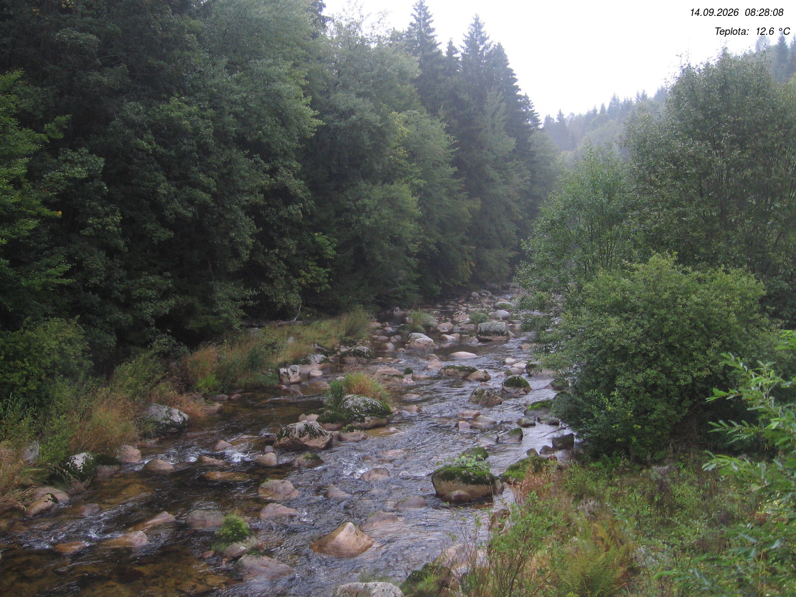Webkamera - Kořenov - Jizera