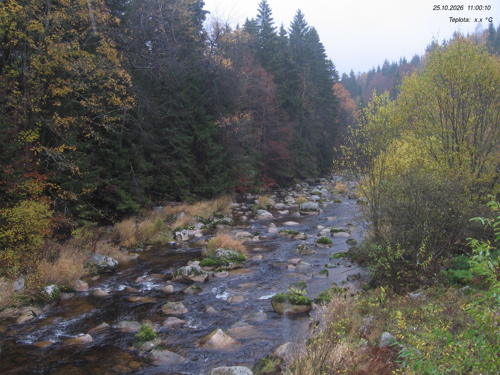 Webcam - Kořenov - Jizera