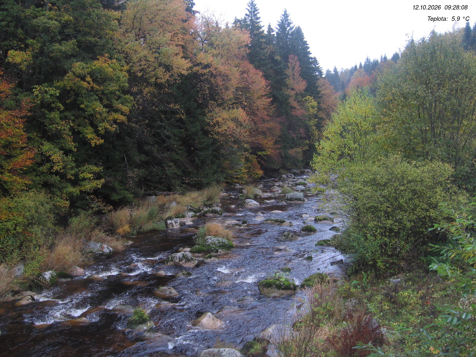 Webcam - Kořenov - Jizera
