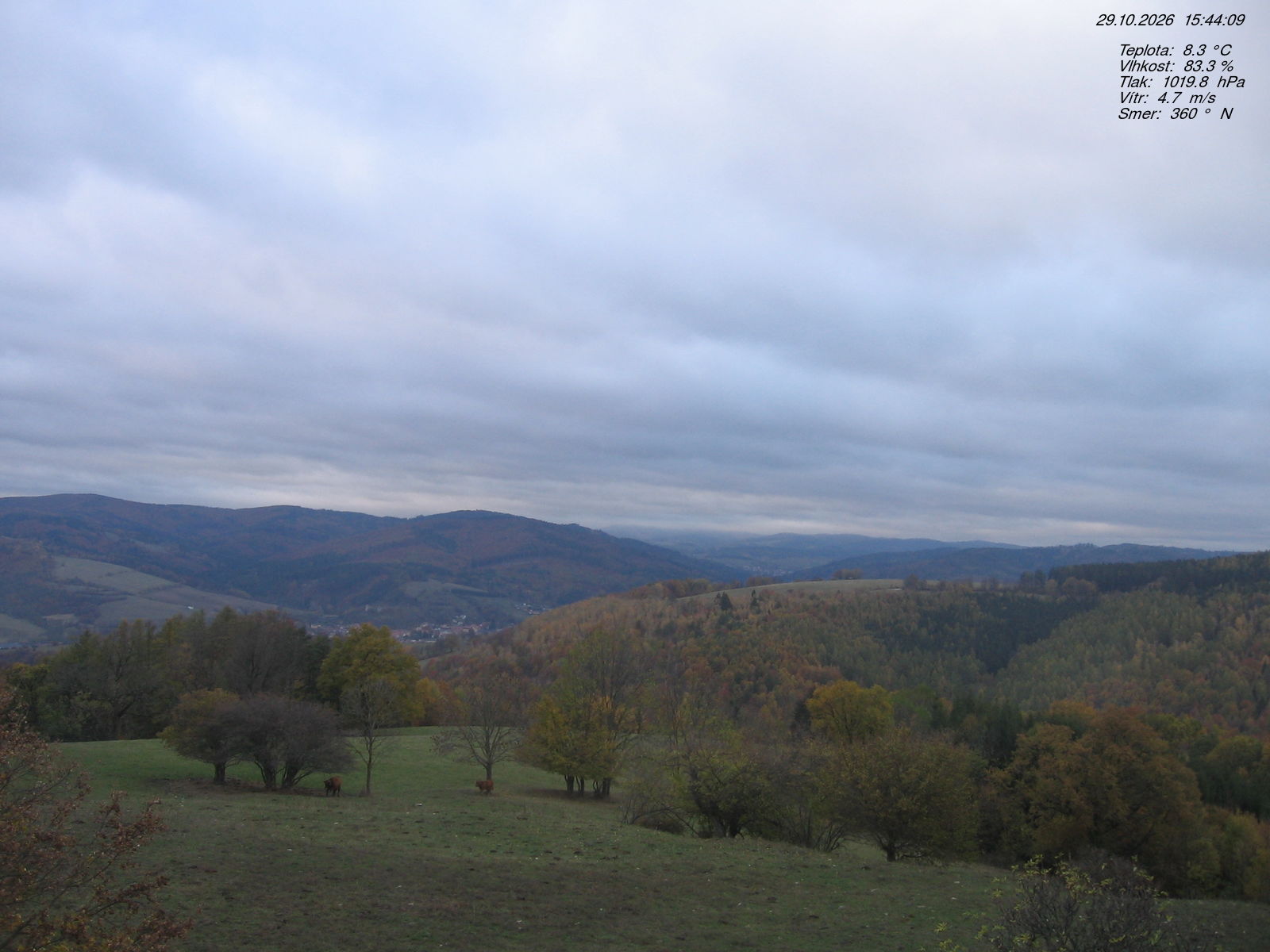 Kamera na żywo - Brumov - Bylnice