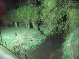 01 : 00