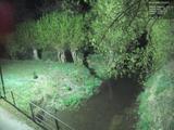 01 : 40