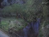 20 : 32