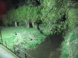 01 : 40