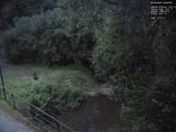 04 : 28