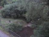 21 : 44