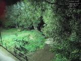 04 : 56