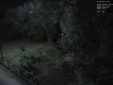 20 : 16