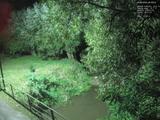 20 : 40