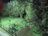 20 : 36