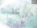 19 : 36