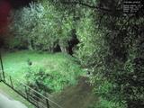 00 : 52