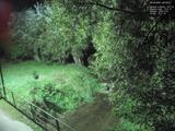 00 : 20