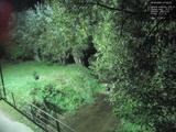 01 : 44