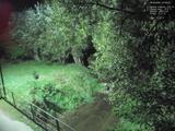 01 : 52