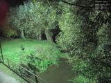 19 : 48