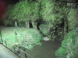 03 : 52