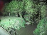 04 : 20