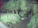 04 : 48