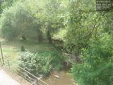 14 : 00