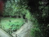 Záznam