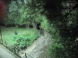 Záznam
