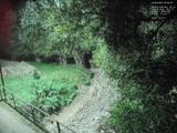 00 : 36