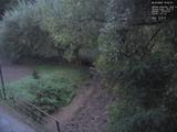 19 : 44