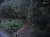 19 : 48