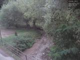 19 : 20