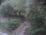 19 : 24