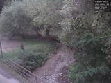 19 : 36