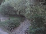 19 : 24
