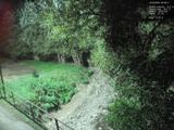 20 : 36