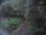 19 : 32