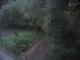 19 : 36