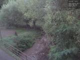 19 : 20