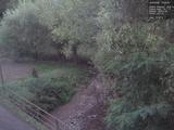 19 : 24