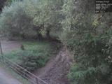 19 : 12