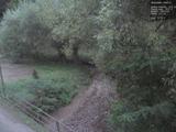19 : 20