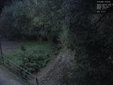 19 : 36