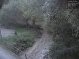 Záznam