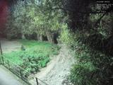 Záznam