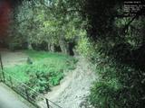 Záznam