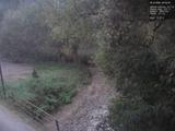 Záznam