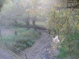 Záznam