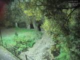 Záznam