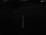 21 : 16